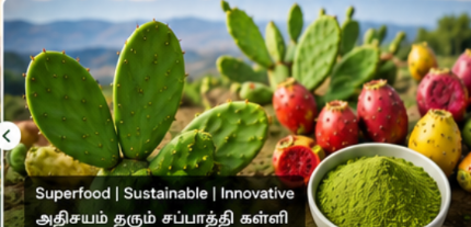 Cactus Superfood