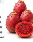 Cactus Fruit